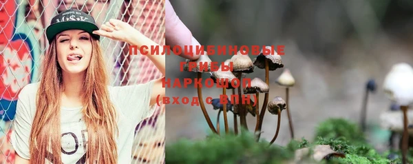 не бодяженный Алексин
